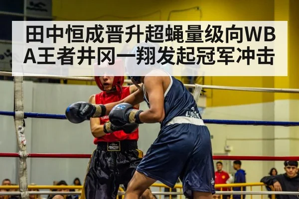 田中恒成晋升超蝇量级向WBA王者井冈一翔发起冠军冲击